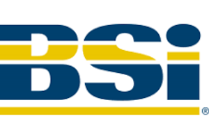 Британский институт стандартов (BSI)