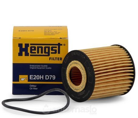 Масляний фільтр HENGST E20H D79