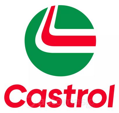 Castrol Magnatec C2 0W-30, 5л.